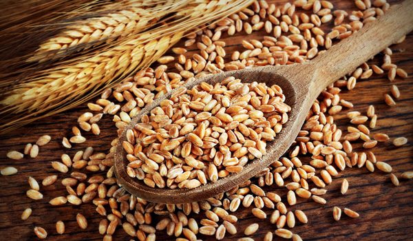 dieta senza glutine pericolosa