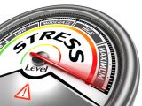 stress fa bene alla memoria