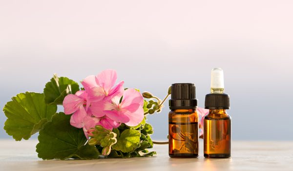 olio essenziale geranio