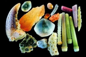 Granelli di sabbia al microscopio: l’inaspettata sorpresa