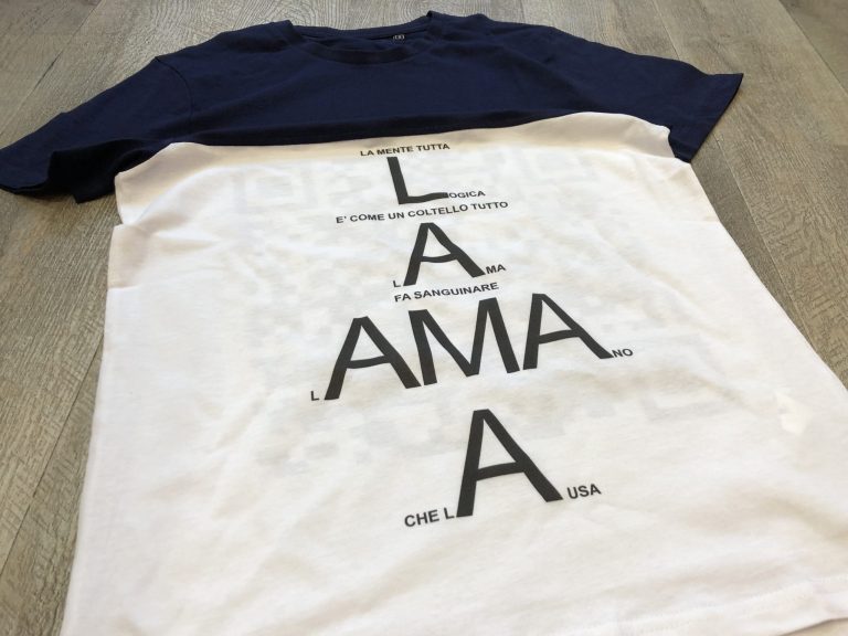 DIM T-Shirt Maglietta a Maniche Corte Ecodim x2 Uomo, Bianco, S