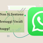audio WhatsApp