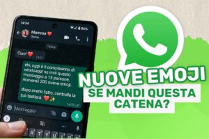 catena WhatsApp
