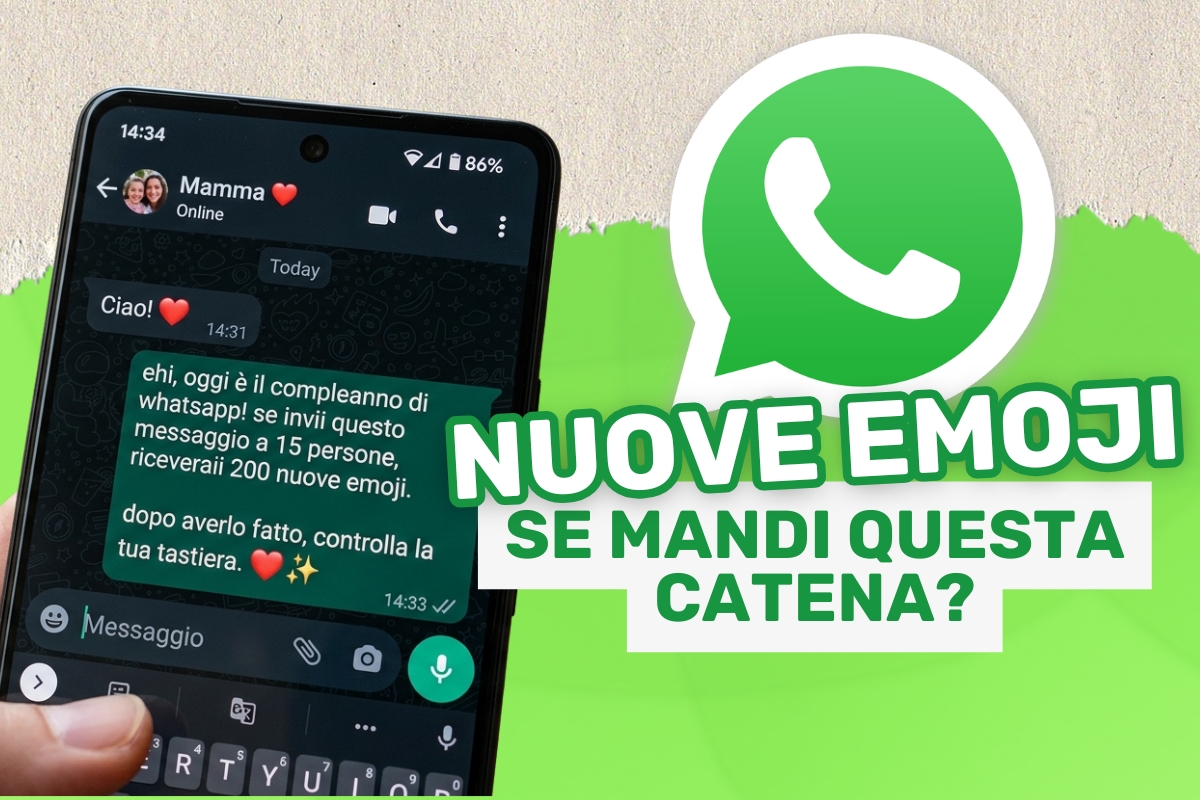 catena WhatsApp